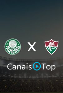 Palmeiras x Fluminense – Ao Vivo – 21/10/2026 – 21h30